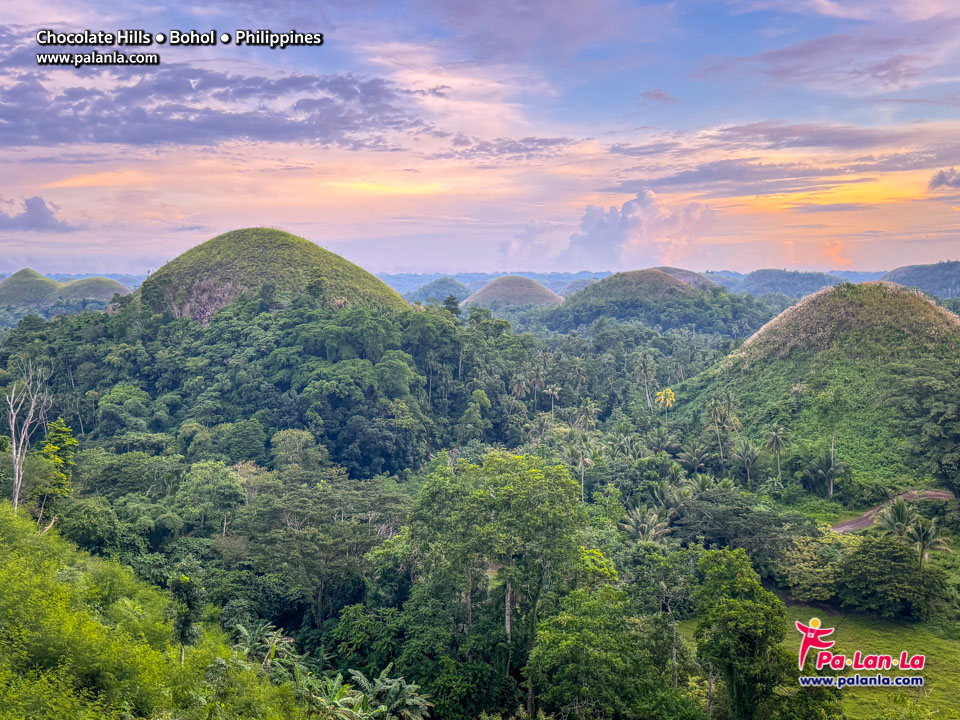 Chocolate Hills